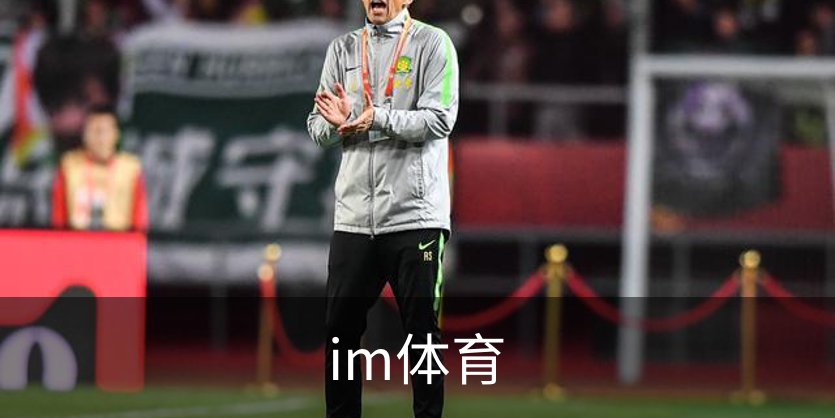im体育简介